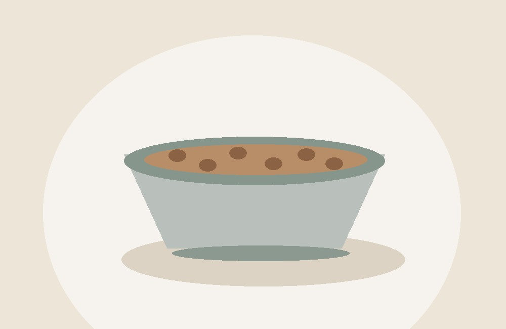 Alimentación saludable para perros y gatos